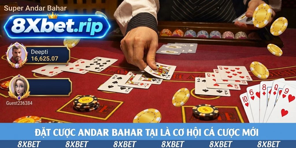 Dealer chia bài úp thành hai hàng trên bàn nỉ đỏ trong ván Andar Bahar trực tiếp