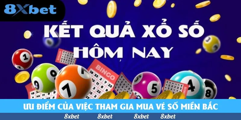 Dòng chữ kết quả xổ số hôm nay cùng bóng số, phiếu bingo và đồng xu vàng