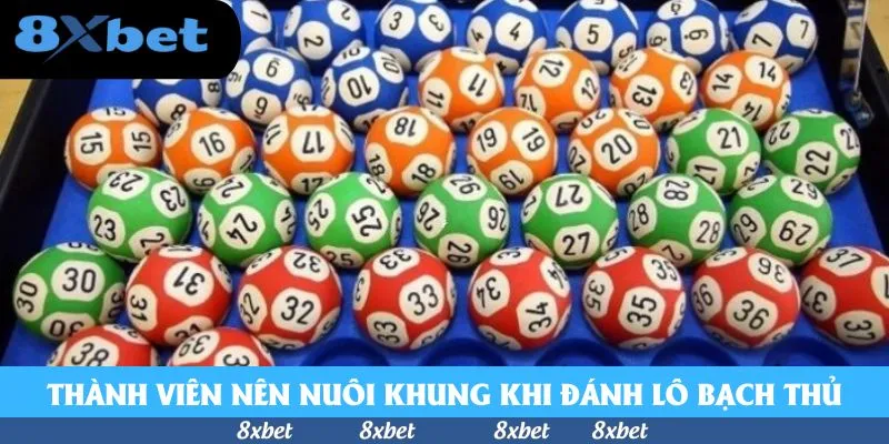 Khay đựng bóng số từ 1 đến 38 xếp theo hàng màu xanh, cam, xanh lá và đỏ, minh họa việc chọn số nuôi lô bạch thủ