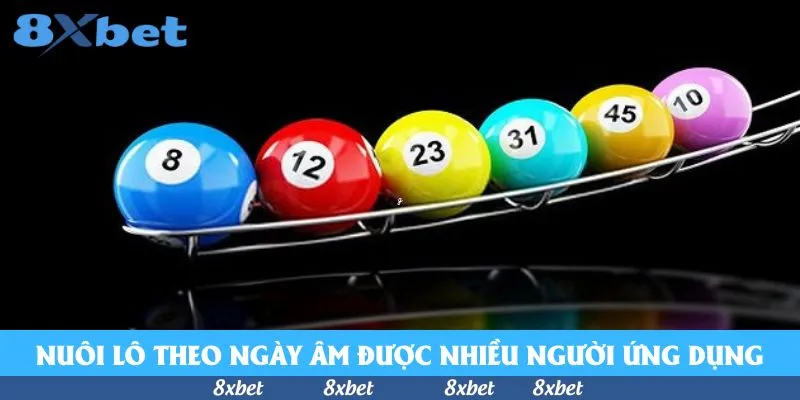 Sáu bóng số 8, 12, 23, 31, 45, 10 nhiều màu xếp trên thanh ray kim loại nền đen minh họa nuôi lô theo ngày âm