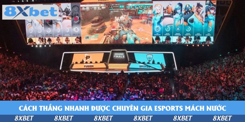 Sân khấu Grand Finals esports với màn hình lớn hiển thị nhân vật và khán giả cổ vũ